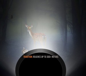 Tradition_woods